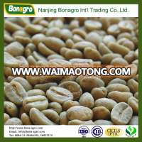 green bulk arabica coffee bean