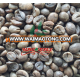 Vietnam Robusta coffee beans